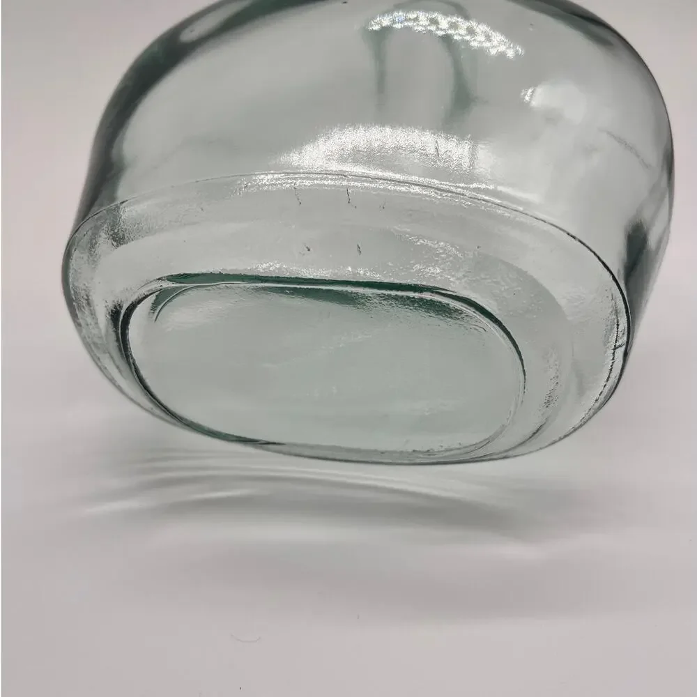 NWOT Spanish Glass Bottle Vases - Birch Lane 8x10